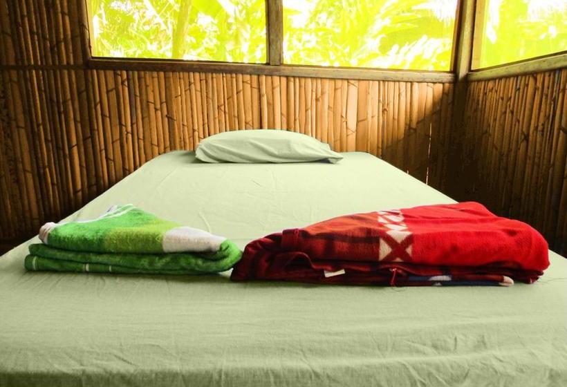 Hotel Jg Expeditions Tours | Iquitos | Maynas | Perú 3