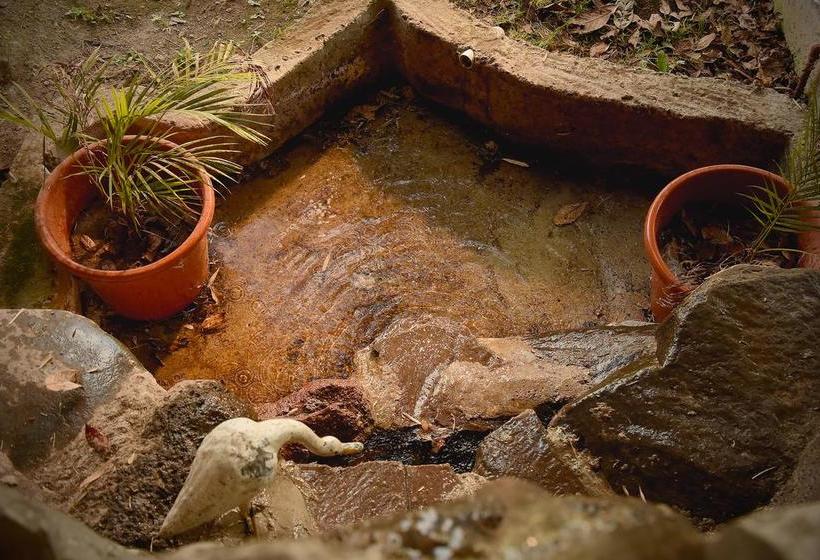 Bed and Breakfast Los Valles Ecuador | Quito | Pichincha | Ecuador 2