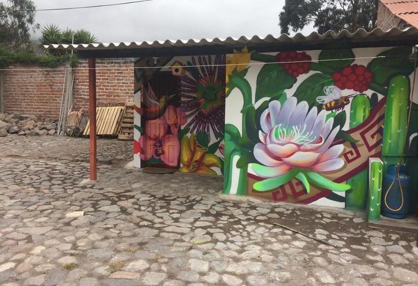 Killa Wasi Hostel | Alausí | Chimborazo | Ecuador 10