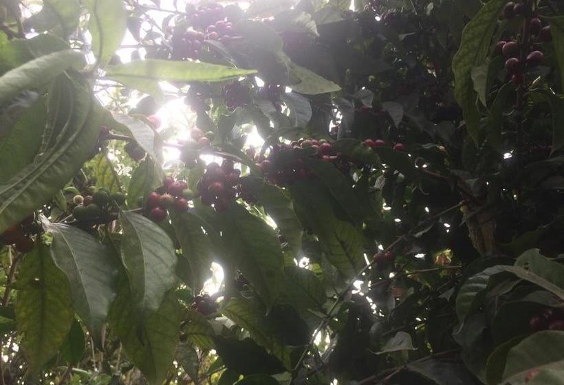 Killa Wasi Hostel | Alausí | Chimborazo | Ecuador 12