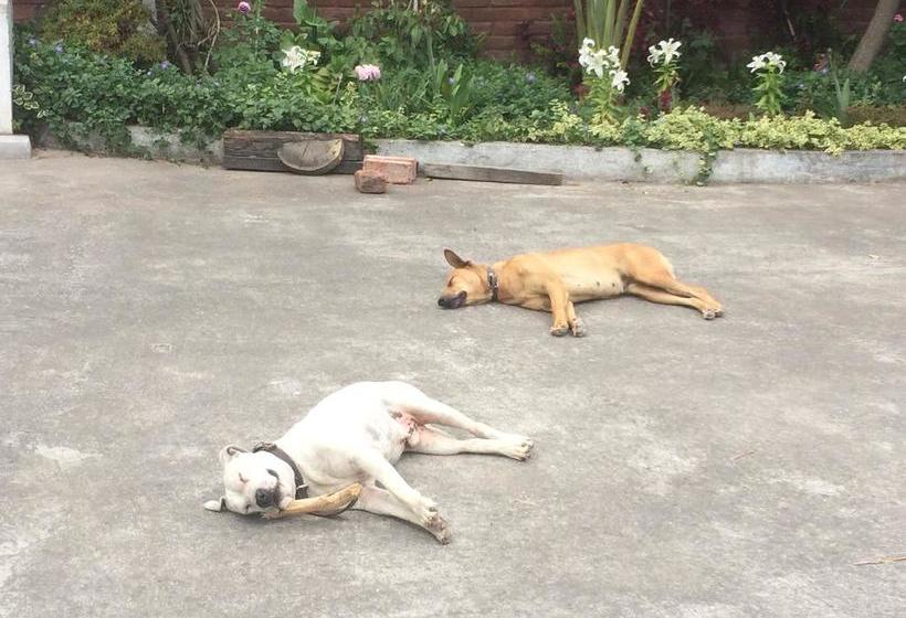 Killa Wasi Hostel | Alausí | Chimborazo | Ecuador 13