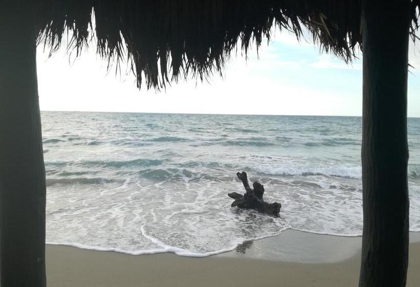 Hotel El Ensueño | Coveñas | Sucre | Colombia 12