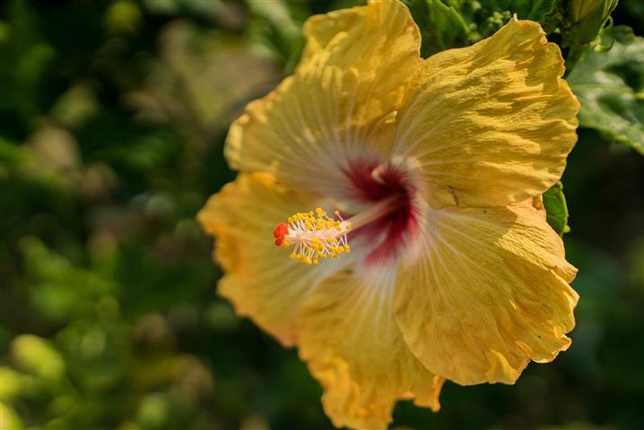 Hotel Rural El Brillante | Montenegro | Quindío | Colombia 12