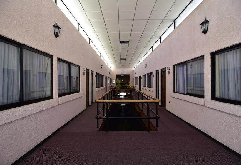 Hotel Punakora | Calama | Antofagasta | Chile 2