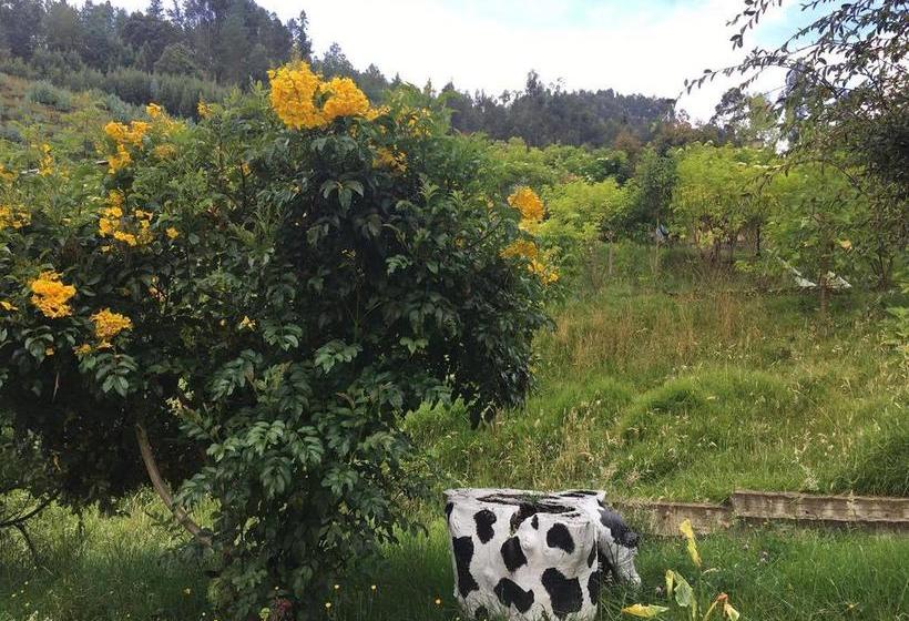 Albergue Hospedaje El Rincón Campestre | Sogamoso | Boyaca | Colombia 2