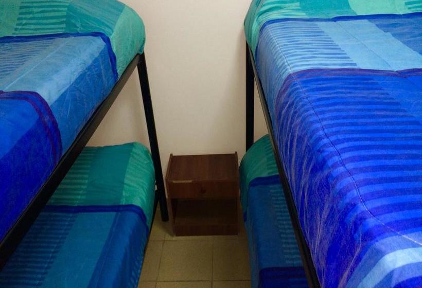 Hotel Argental | Antofagasta | Antofagasta | Chile 12