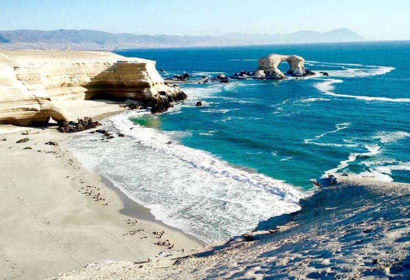 Hotel Argental | Antofagasta | Antofagasta | Chile 13