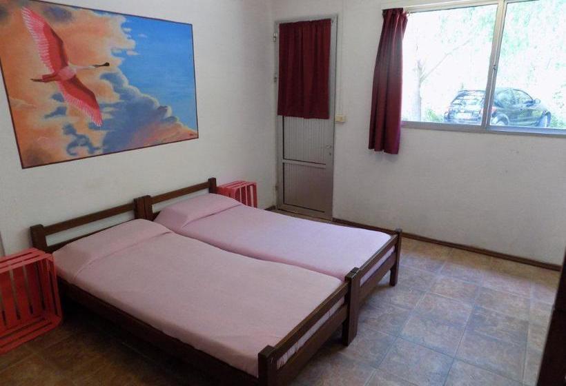 Albergue La Posta De La Laguna La Paloma Rocha