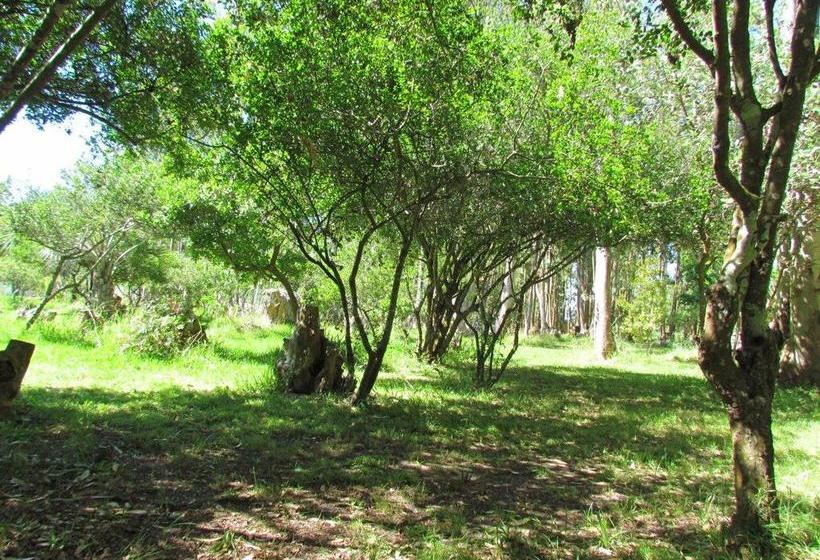 Albergue La Posta De La Laguna | La Paloma | Rocha | Uruguay 11