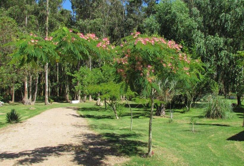 Albergue La Posta De La Laguna | La Paloma | Rocha | Uruguay 12