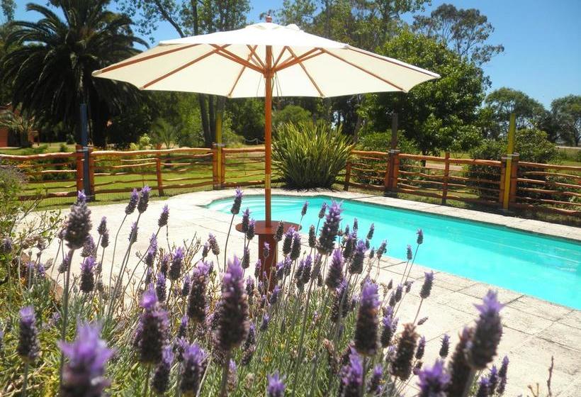 Albergue La Posta De La Laguna | La Paloma | Rocha | Uruguay 3