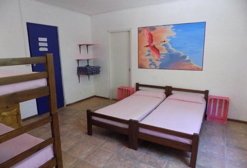 Albergue La Posta De La Laguna | La Paloma | Rocha | Uruguay 4