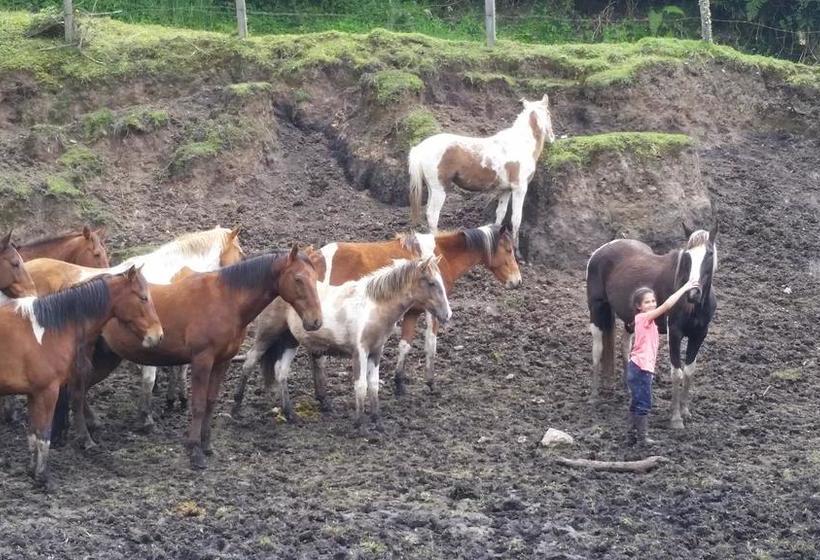 Hotel Hacienda El Sinche | Machachi | Pichincha | Ecuador 6