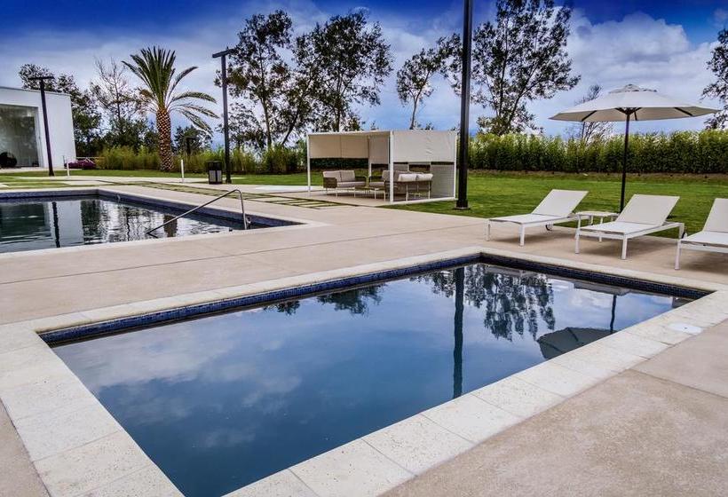 Eb Hotel Eurobuilding Airport Quito | Tababela | Pichincha | Ecuador 11