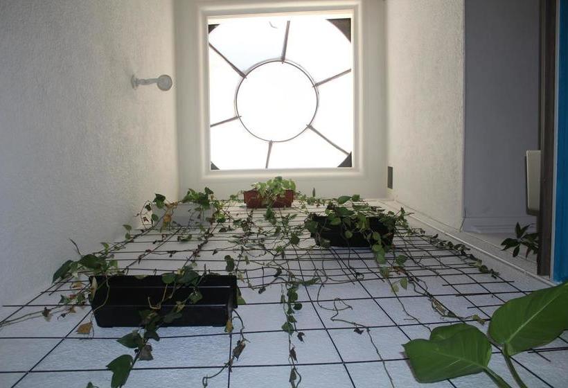 Samarian Hostel | Medellín | Antioquia | Colombia 10