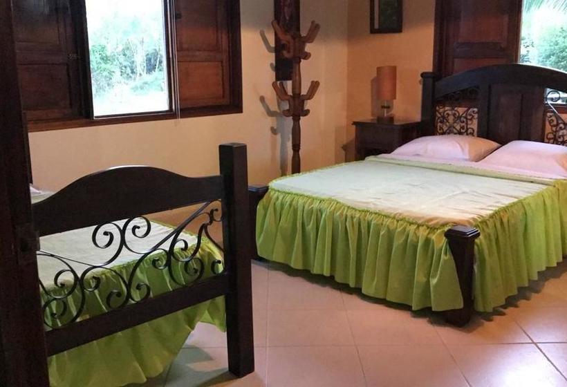 Bed and Breakfast Finca Hotel El Bonsai | Montenegro | Quindío | Colombia 16