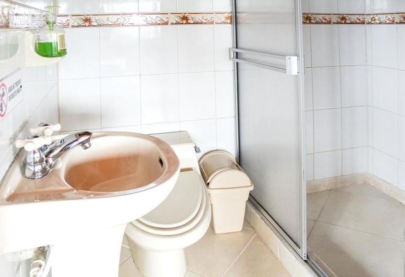 Bed and Breakfast Finca Hotel El Bonsai | Montenegro | Quindío | Colombia 9