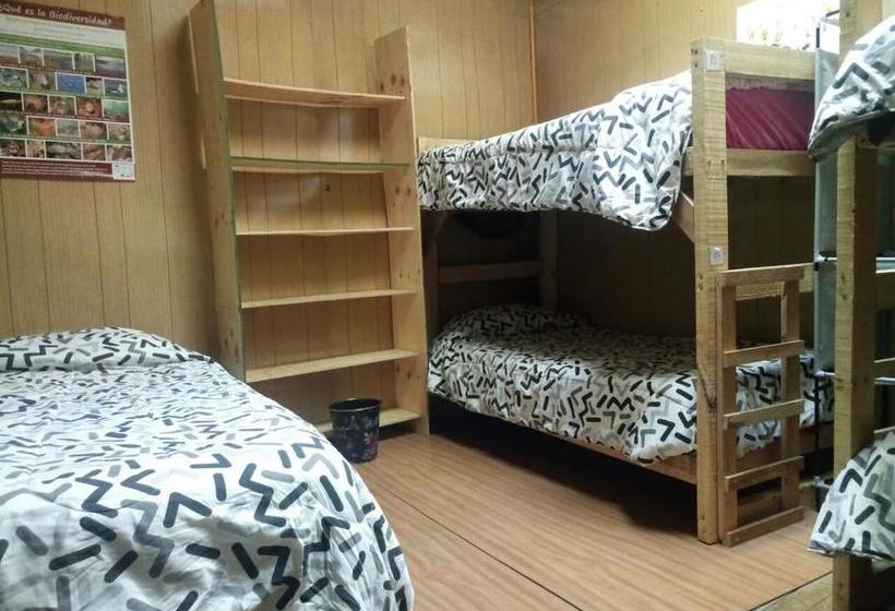 Bed and Breakfast Hostal La Morenita | Punta Arenas | Magallanes y Antartica | Chile 2