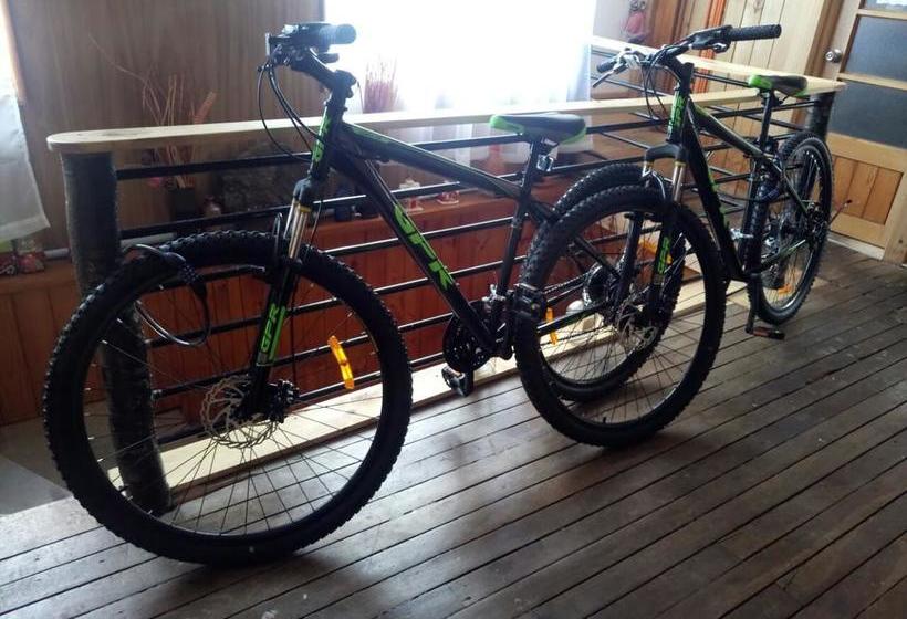 Bed and Breakfast Hostal La Morenita | Punta Arenas | Magallanes y Antartica | Chile 3