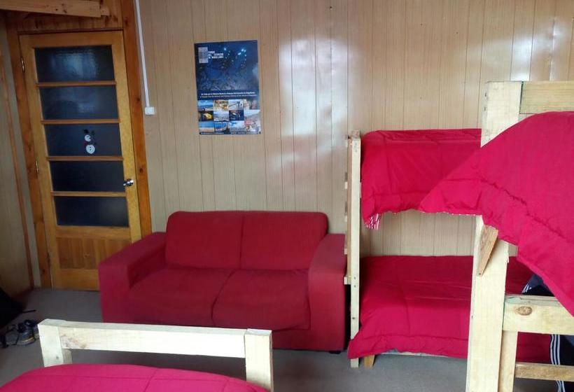 Bed and Breakfast Hostal La Morenita | Punta Arenas | Magallanes y Antartica | Chile 5