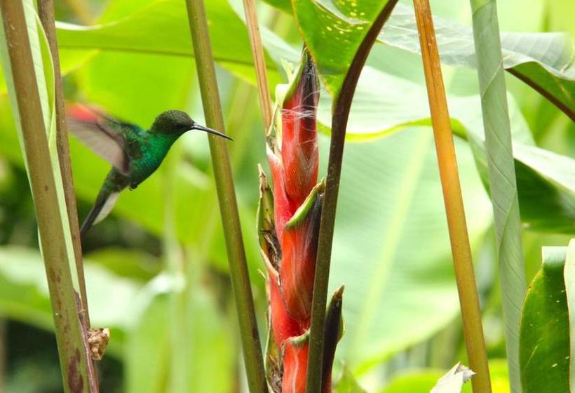 Hotel Posadacampesina San Agustin