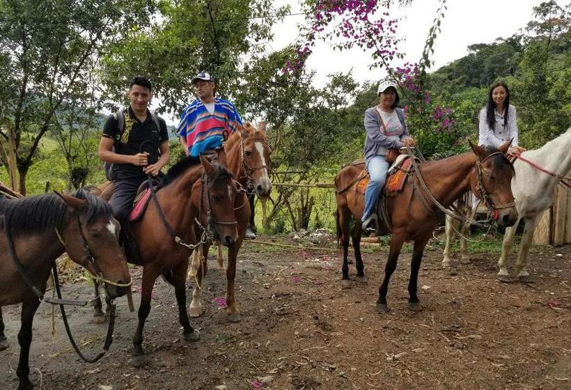 Hotel Posadacampesina | San Agustin | Huila | Colombia 3
