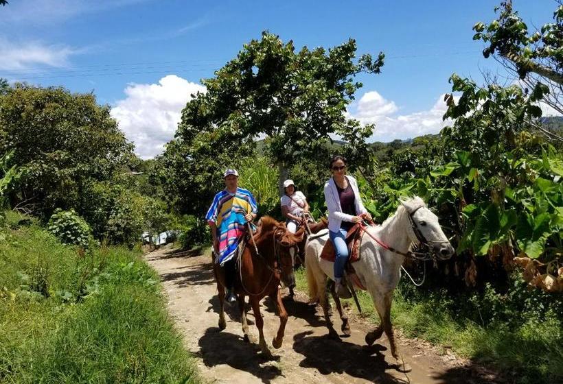 Hotel Posadacampesina | San Agustin | Huila | Colombia 4