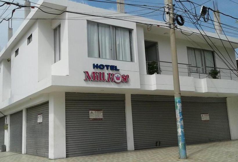 Hotel Millrose | Valledupar | Cesar | Colombia 6