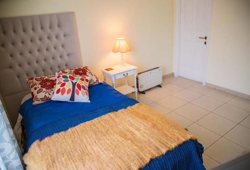 Bed and Breakfast Trapenses Boutique | Santiago de Chile | Santiago | Chile 11