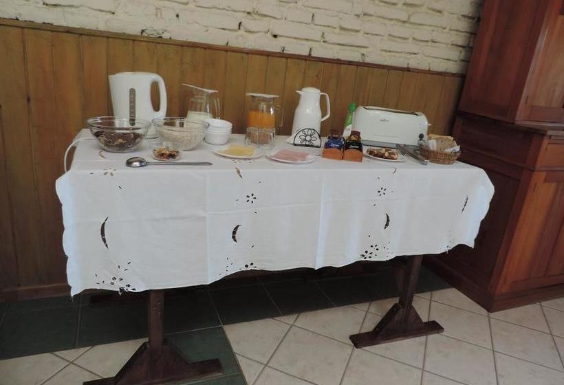 Hotel Hostal Oro Fueguino | Punta Arenas | Magallanes y Antartica | Chile 7