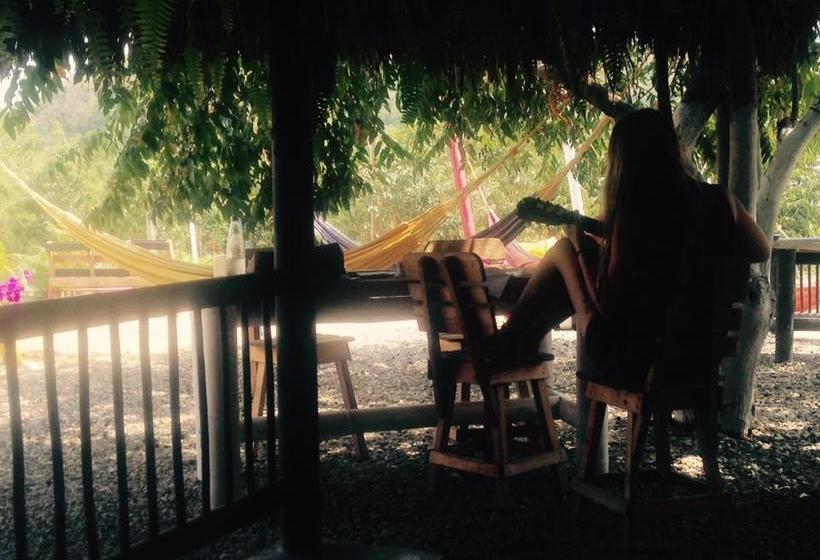 Bikini Hostel Palomino | Palomino | La Guajira | Colombia 14