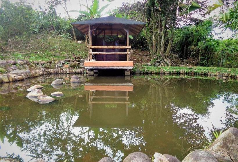 Hotel Wisdom Garden | Tena | Napo | Ecuador 12