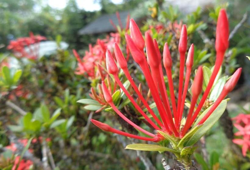 Hotel Wisdom Garden | Tena | Napo | Ecuador 14