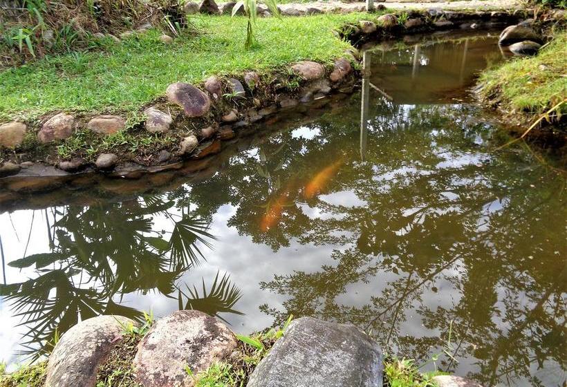 Hotel Wisdom Garden | Tena | Napo | Ecuador 15