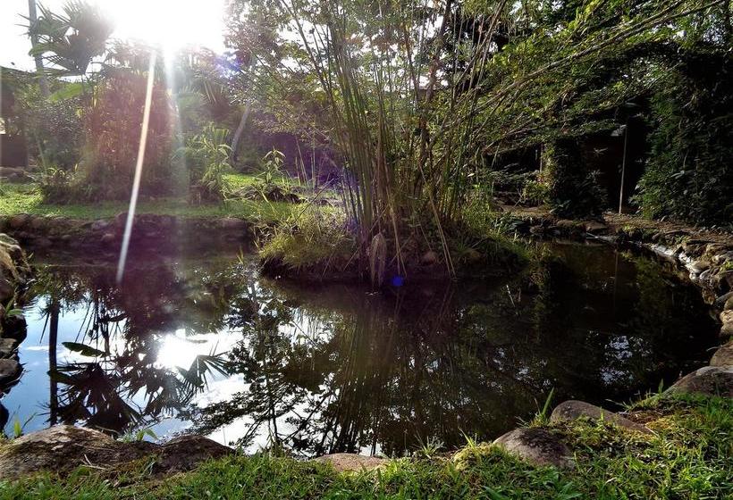 Hotel Wisdom Garden | Tena | Napo | Ecuador 16