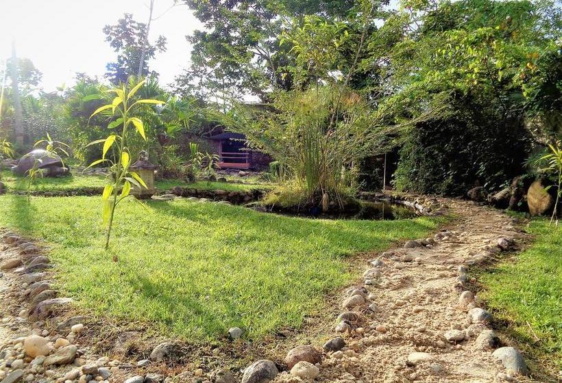 Hotel Wisdom Garden | Tena | Napo | Ecuador 17