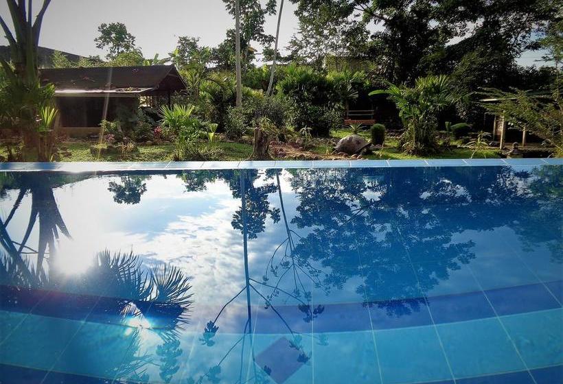 Hotel Wisdom Garden | Tena | Napo | Ecuador 18