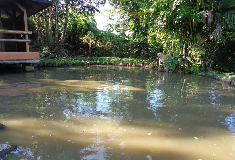 Hotel Wisdom Garden | Tena | Napo | Ecuador 4