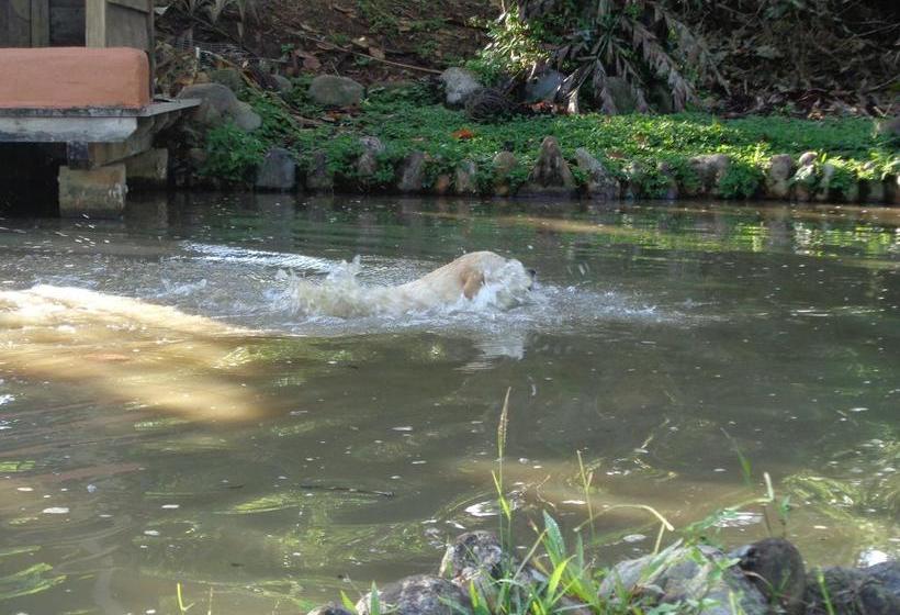 Hotel Wisdom Garden | Tena | Napo | Ecuador 5