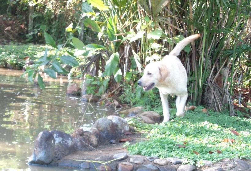 Hotel Wisdom Garden | Tena | Napo | Ecuador 6