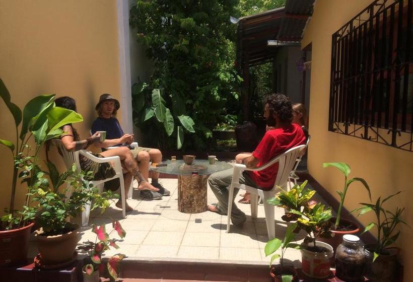 Albergue The Amazon Within | Iquitos | Maynas | Perú 1