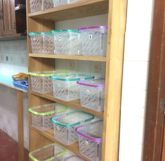 Albergue The Amazon Within | Iquitos | Maynas | Perú 11