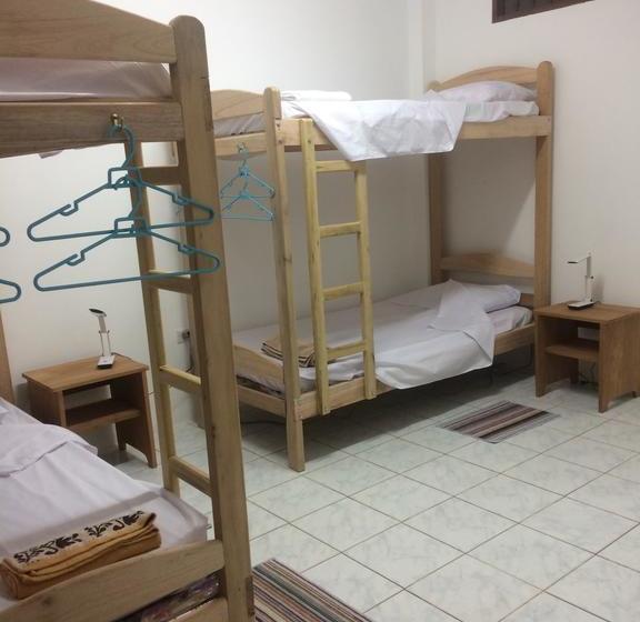 Albergue The Amazon Within | Iquitos | Maynas | Perú 16