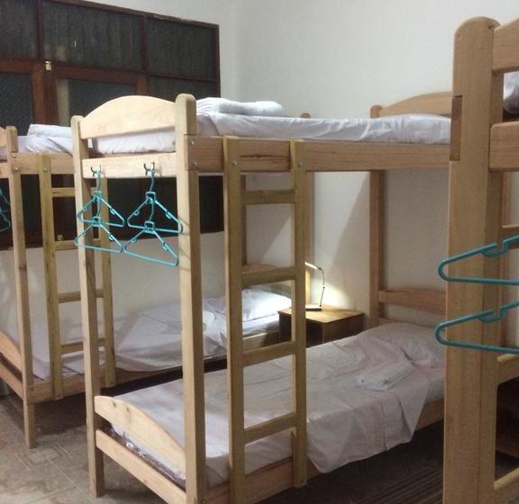 Albergue The Amazon Within | Iquitos | Maynas | Perú 17