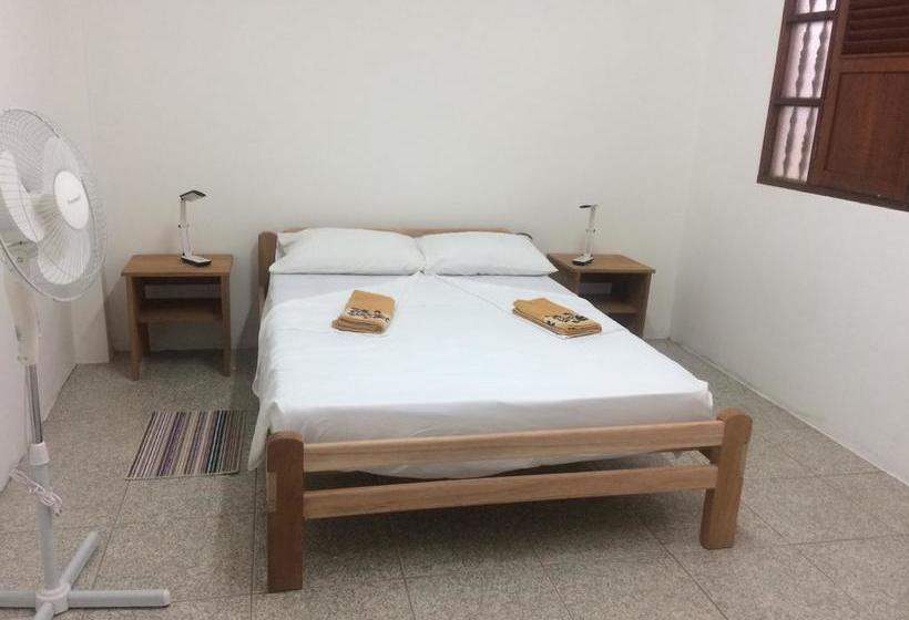 Albergue The Amazon Within | Iquitos | Maynas | Perú 6