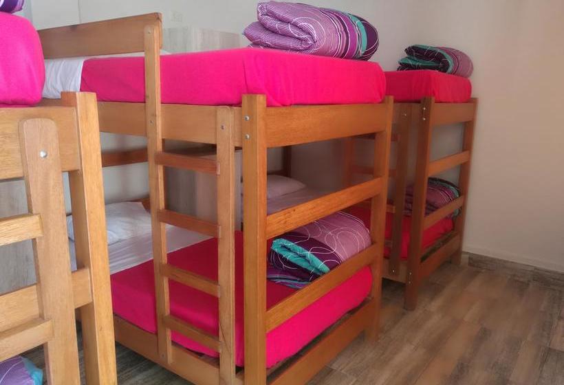 Bed and Breakfast Anita S House Backpacker | Ica | Ica | Perú 2