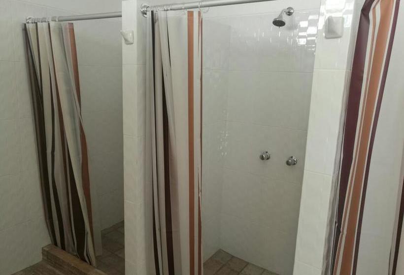 Bed and Breakfast Anita S House Backpacker | Ica | Ica | Perú 4