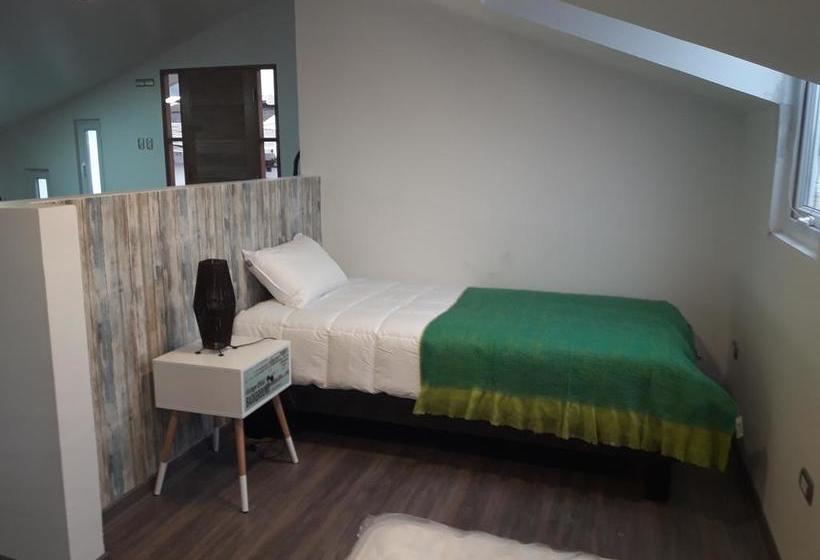 Espacio Abierto B&b | Santiago de Chile | Santiago | Chile 3