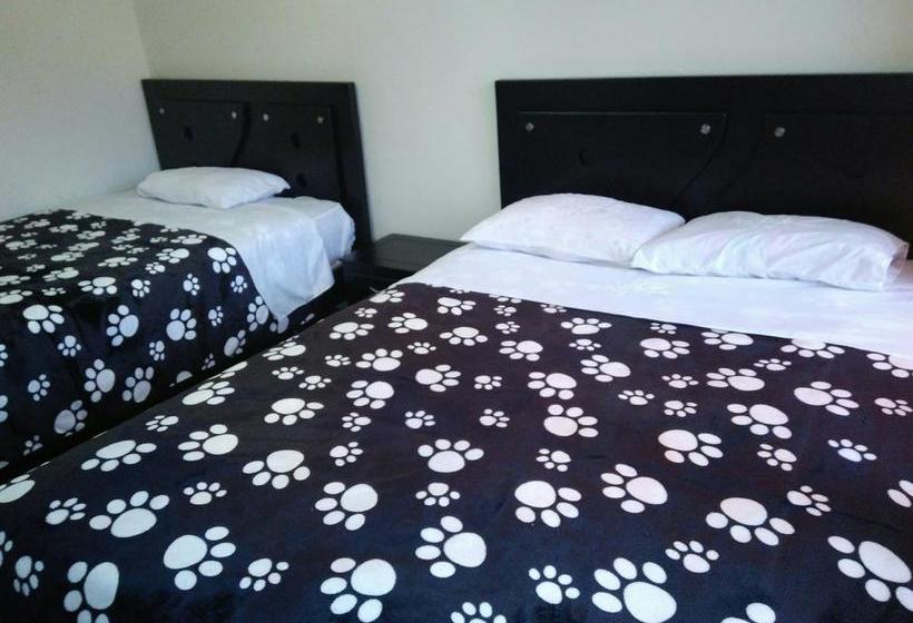 Hotel Damasco | Ipiales | Nariño | Colombia 3