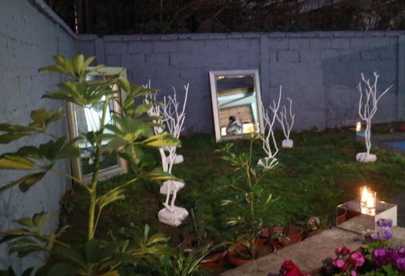 Bed and Breakfast Homestay El Cerro | Santiago de Chile | Santiago | Chile 10